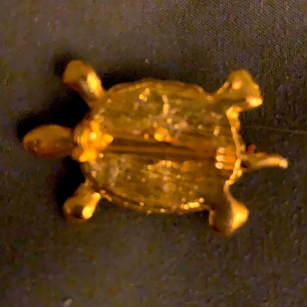 Turtle Brooch - Picture 2 of 2